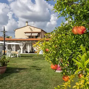 https://colorado-home.it-tuscanyhotel.com